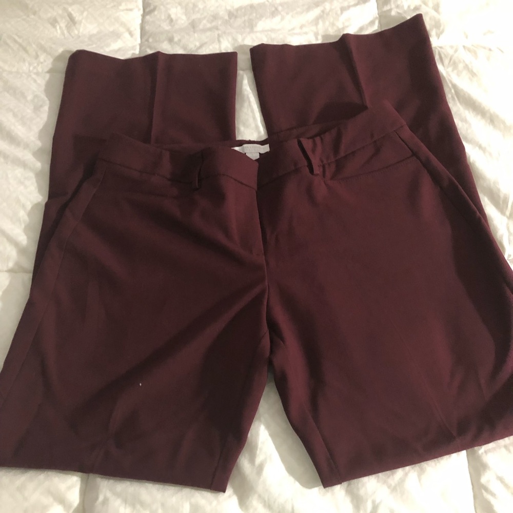 Dress pants